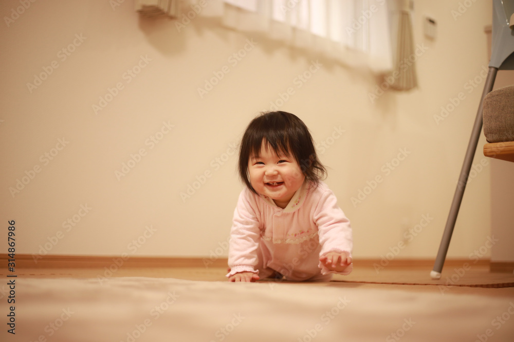 ハイハイする赤ちゃん ハイハイする赤ちゃん