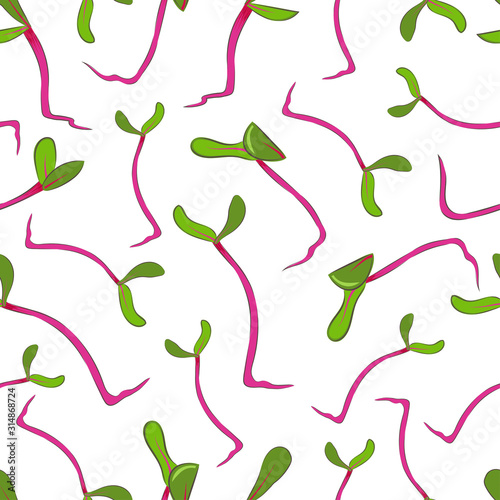 Microgreen. Seamless pattern. Color image of beetroot sprouts. Design element. Vector illustration.