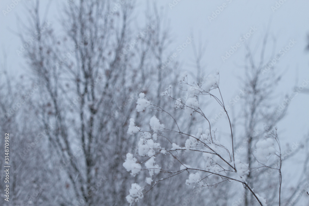 White winter landscape with snowfall White winter landscape with snowfall