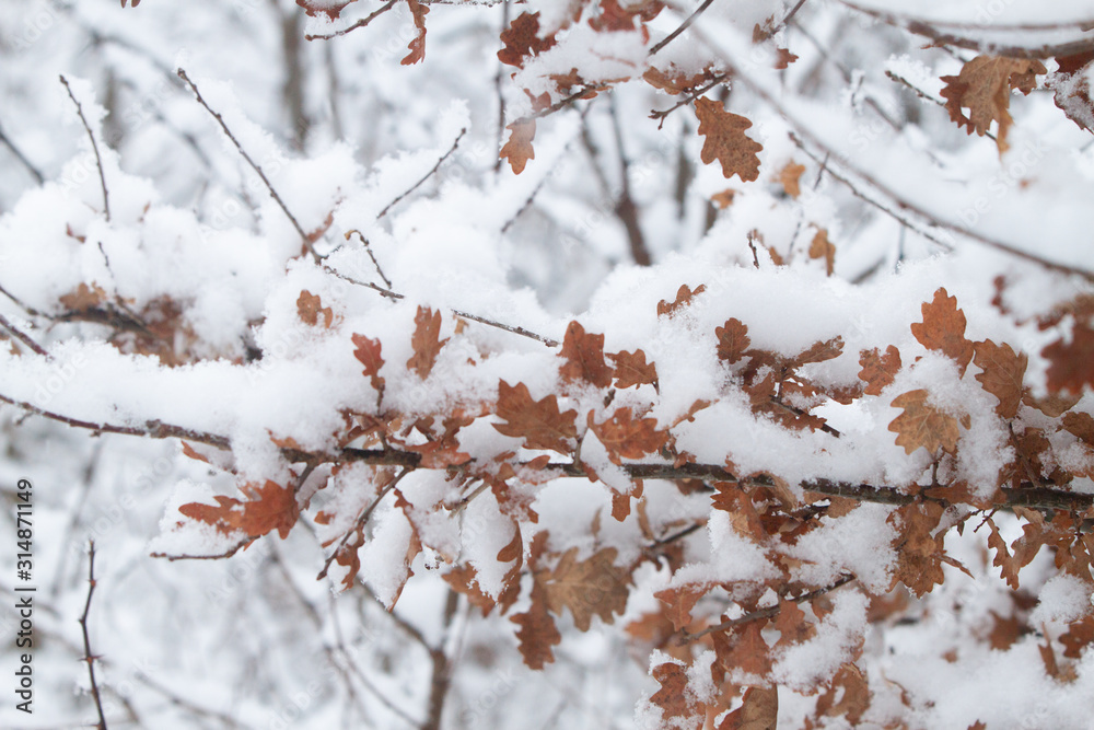 White winter landscape with snowfall White winter landscape with snowfall