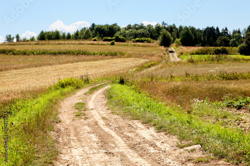 Stony path among the rural landscape.