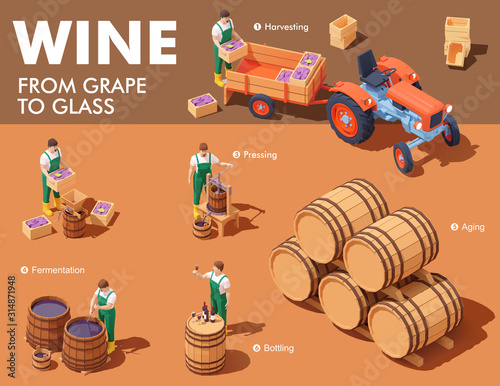 Vector isometric wine making process. Wine makers on grapes harvesting on vineyard, crushing and pressing grapes, aging and bottling. Winery production process steps illustration