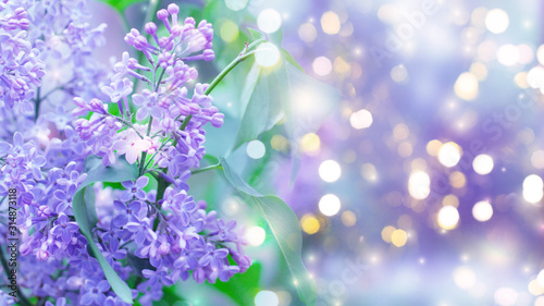 Delicate floral background. Blurred background with spring flowers, bokeh. Bouquet of lilac close-up © Laura Сrazy