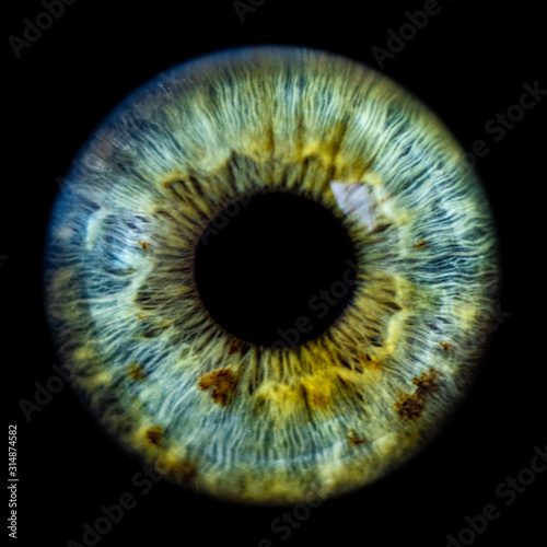 Fototapeta human iris
