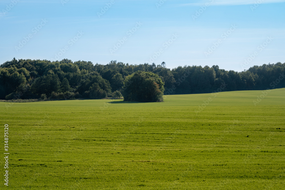 green meadow under blue sky on a clear sunny day green meadow under blue sky on a clear sunny day