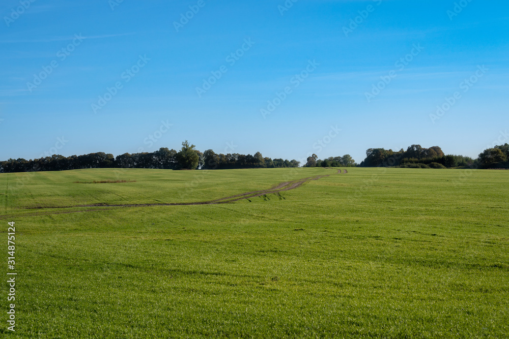 green meadow under blue sky on a clear sunny day green meadow under blue sky on a clear sunny day