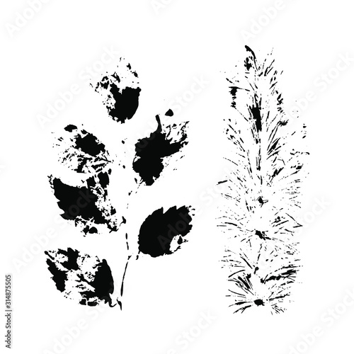 Leaf silhouette elements set isolated on white background.