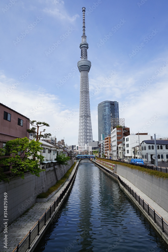 Fototapeta premium 東京スカイツリー