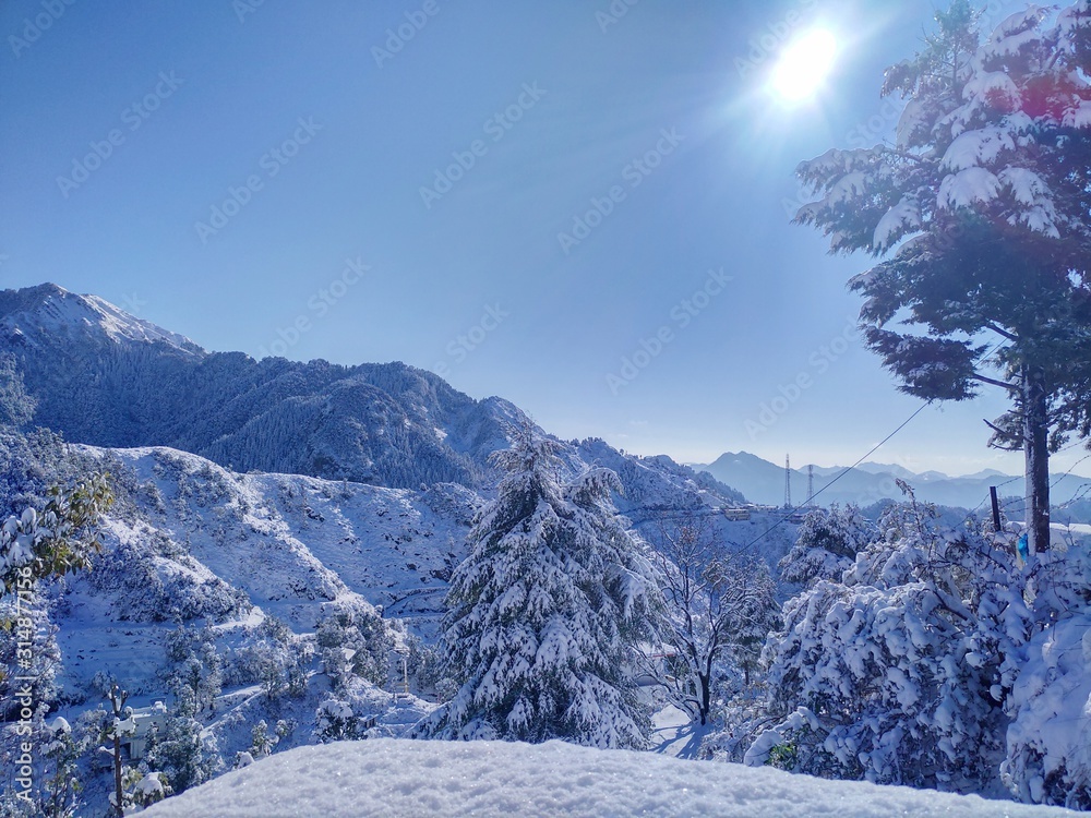 Fototapeta premium winter mountain landscape with mountains and trees