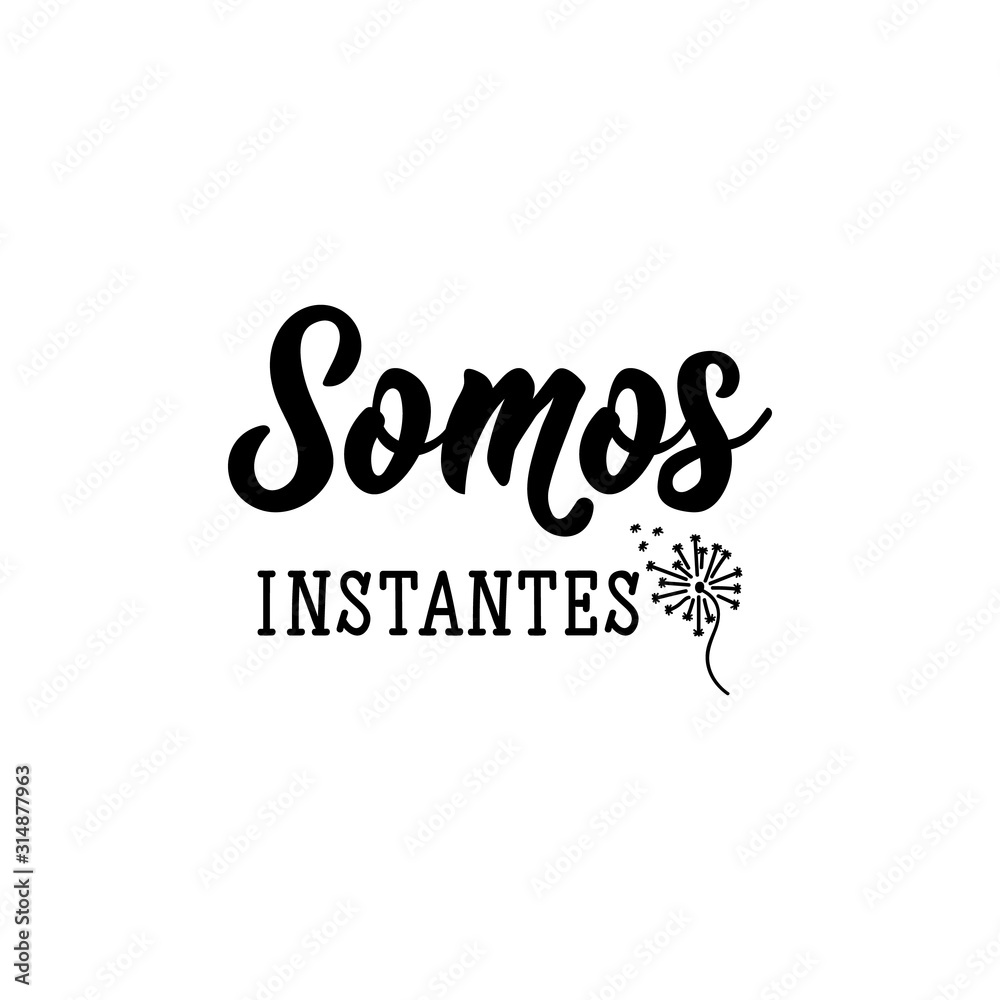 We are moments - in Spanish. Lettering. Ink illustration. Modern brush calligraphy.