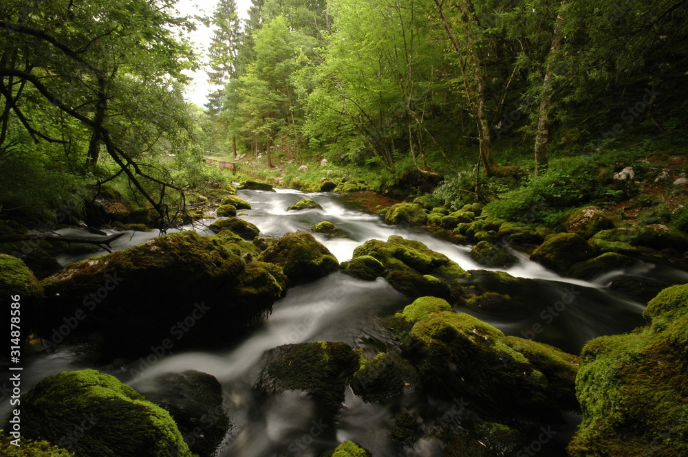 Mountain river in Slovenia, dreamy scenery, moss-covered stones