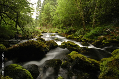 Mountain river in Slovenia  dreamy scenery  moss-covered stones