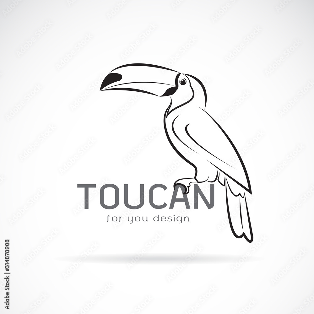Obraz premium Vector of toucan birb design on white background. Wild Animals. Easy editable layered vector illustration.