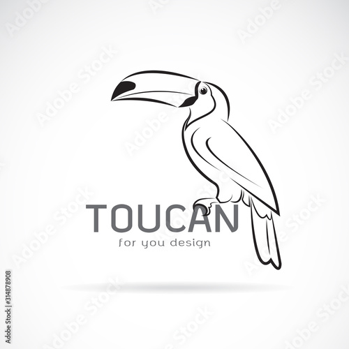 Vector of toucan birb design on white background. Wild Animals. Easy editable layered vector illustration.