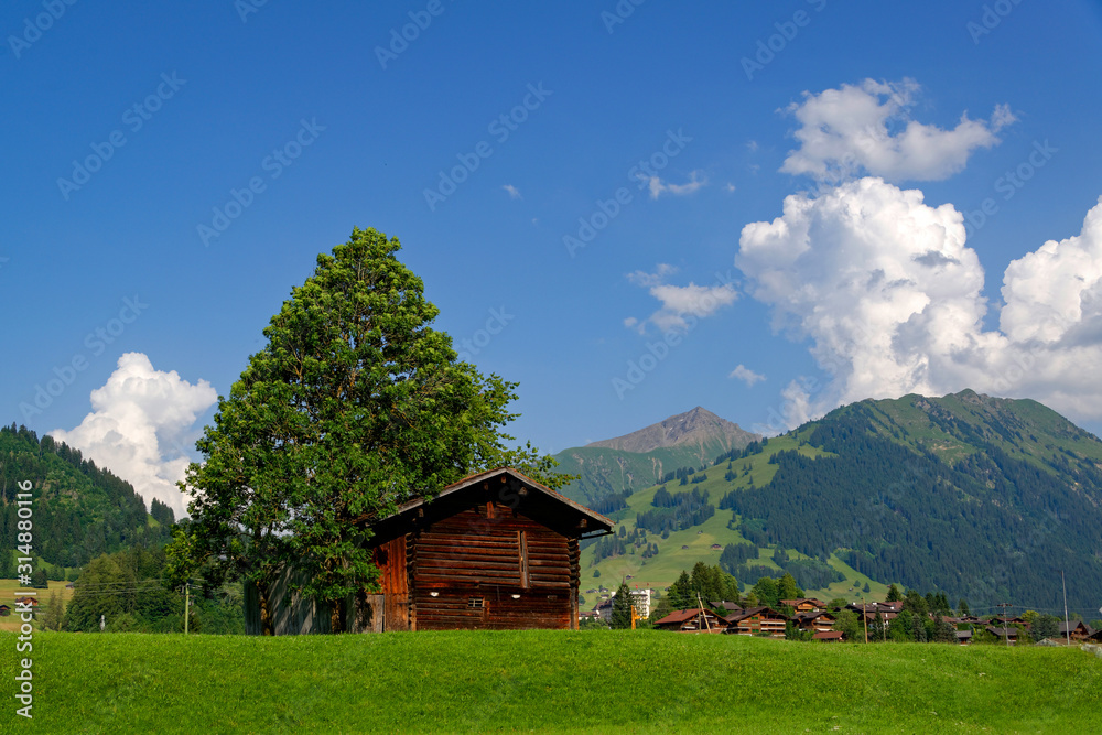 Paysage des Alpes suisses en été