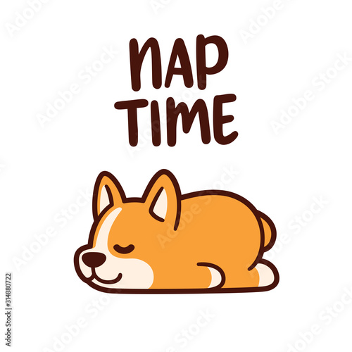 Cute cartoon sleeping corgi
