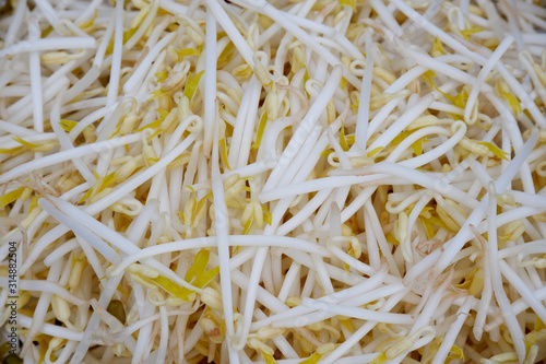 White chinese bean sprouts for cooking and healthy food