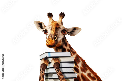 Happy giraffe with stack of books close view,