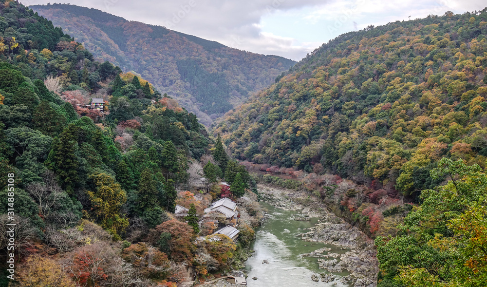 Autumn forest with Arashiyama River