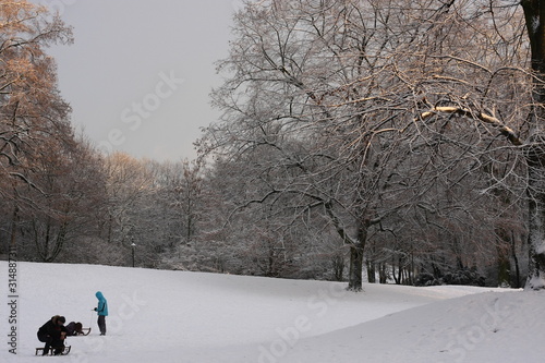 Schneebedeckte Bäume mit schneebedeckten Ästen als Winterwald für Winterspaß mit Schnee nach starkem Schneefall und lädt zum Winterspaziergang und Schneeballschlacht ein