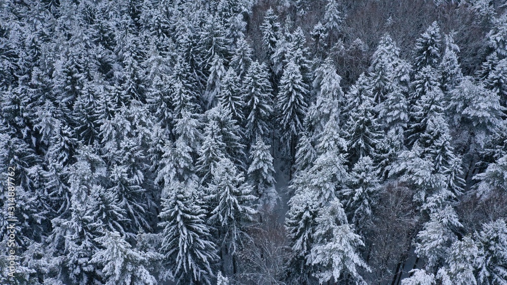 Aerial top view of winter snowy forest with fir-trees, pines, spruces in snow. Russia, Lapland. Christmas season. Beautiful texture with trees, wallpaper. Aerial top view of winter snowy forest with fir-trees, pines, spruces in snow. Russia, Lapland. Christmas season. Beautiful texture with trees, wallpaper.