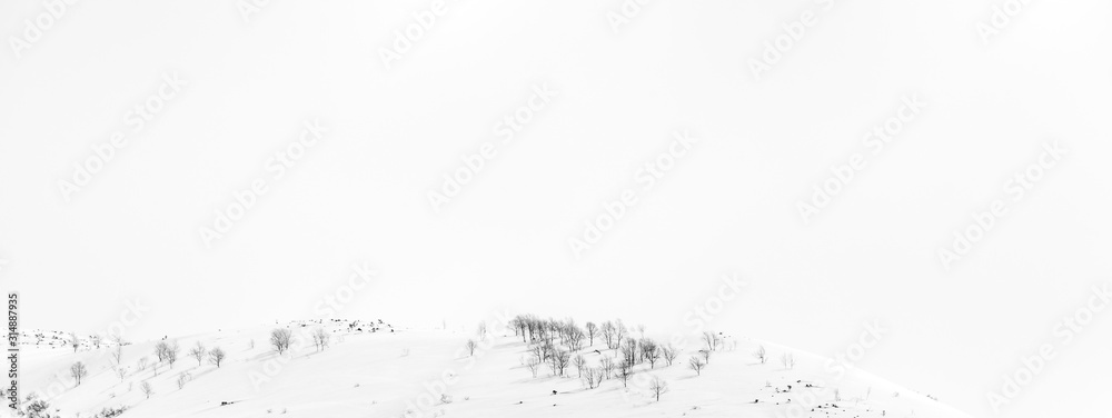 Winter background. Bare trees in the snow capped mountains.