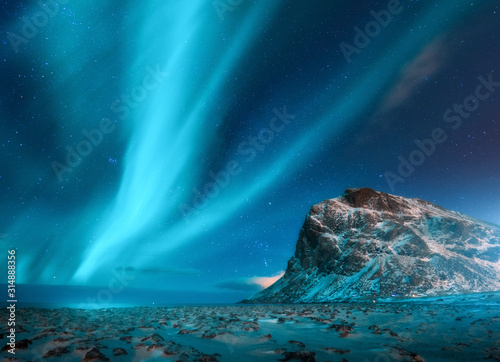 Aurora borealis above the snowy mountain and sandy beach in winter at night. Northern lights in Lofoten islands, Norway. Blue starry sky with polar lights. Landscape with aurora, frozen sea coast © den-belitsky