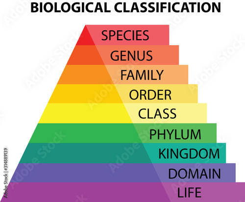 Biological classification taxonomy