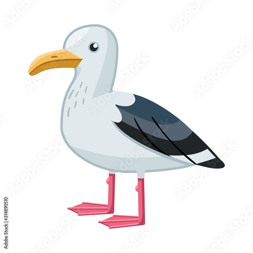 Isolated object of gull and bird logo. Collection of gull and sea stock vector illustration.