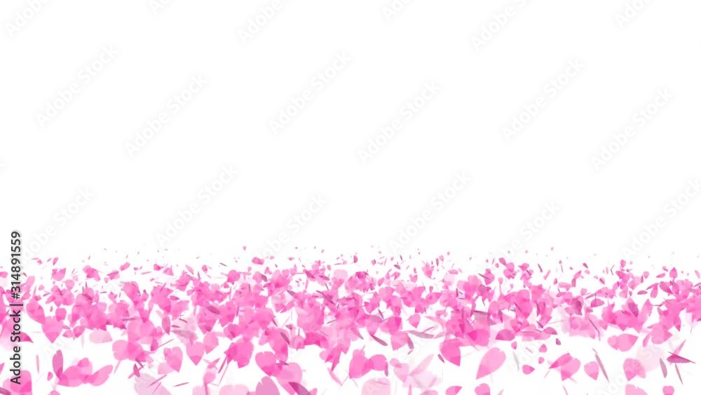 million pink sakura leaves twirly on floor isolated background million pink sakura leaves twirly on floor isolated background