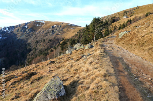 Paysage de la vallée de Munster et le massif du Hohneck photo