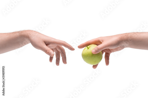 Two male hands passing one another fresh juicy green apple on white background (ID: 314891913)
