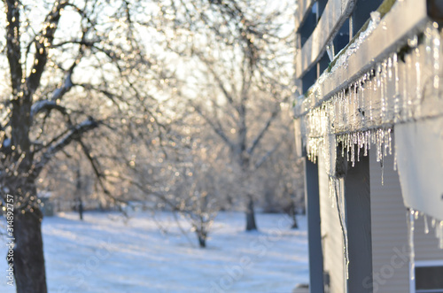 Winter Yard with Trees, Icicles on a Balcony