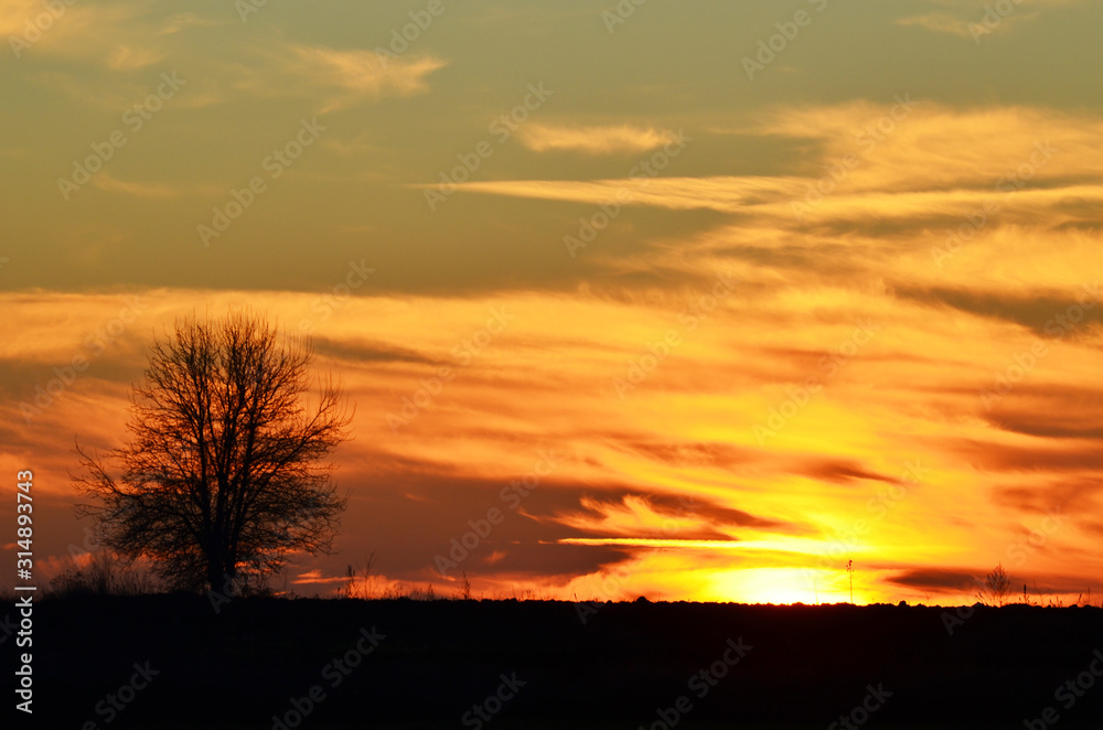 Sunset sky in the evening, picturesque cover,photo
