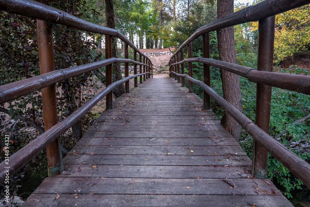  perspective of a bridge in the forest