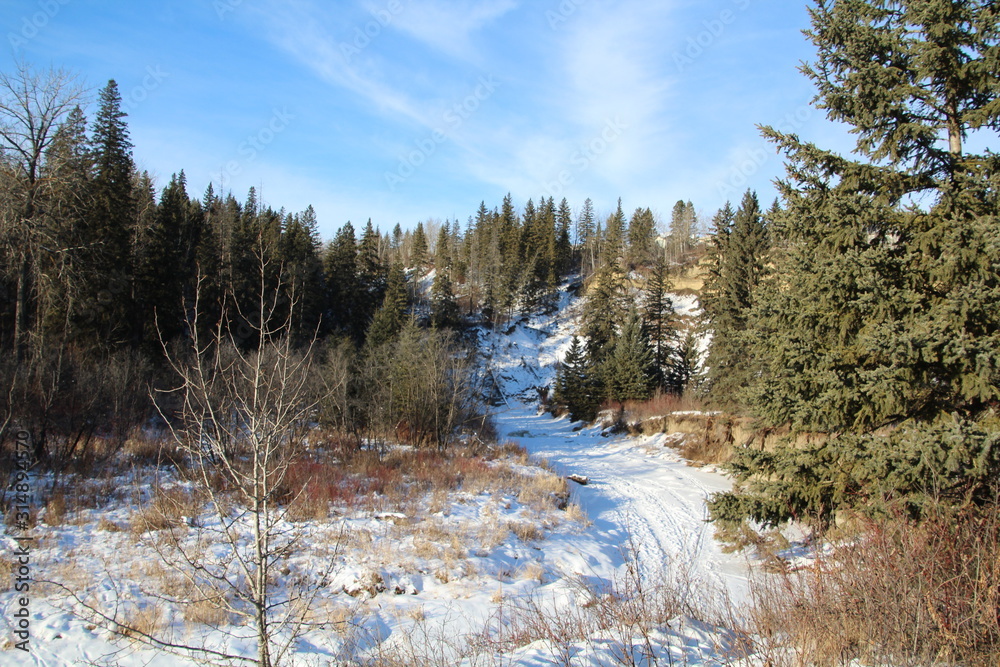 Beauty Of Winter, Whitemud Park, Edmonton, Alberta