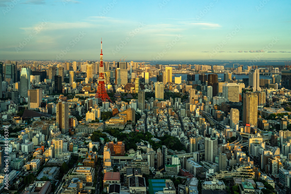 Beautiful aerial view of Tokyo at sunset seen from Mori Tower Observation deck, Japan