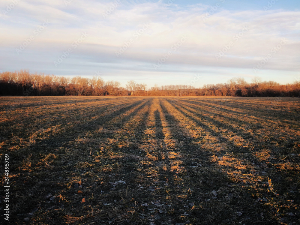 Sunset on a farm field