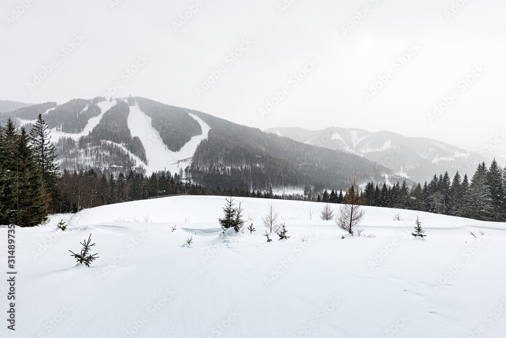 winterliches panorama in den alpen