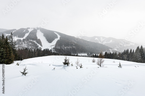 winterliches panorama in den alpen