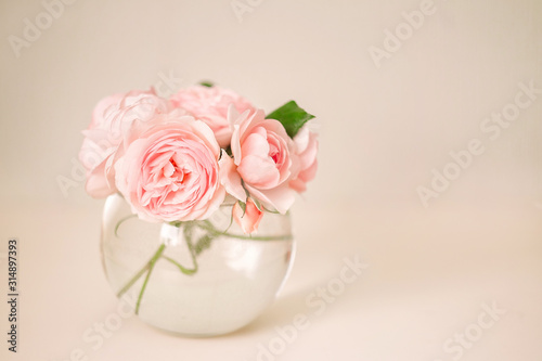 Fototapeta Naklejka Na Ścianę i Meble -  pink rose in vase on white background