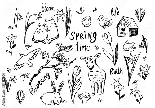 Collection of hand drawn vector illustration. Large set of spring theme contour doodles. Cute animals, spring flowers, birds and handwritten words. Outline elements isolated in white for your design.
