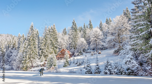  Winter forest in the Carpathians on the mountain lake Vita, Mizhhirya photo