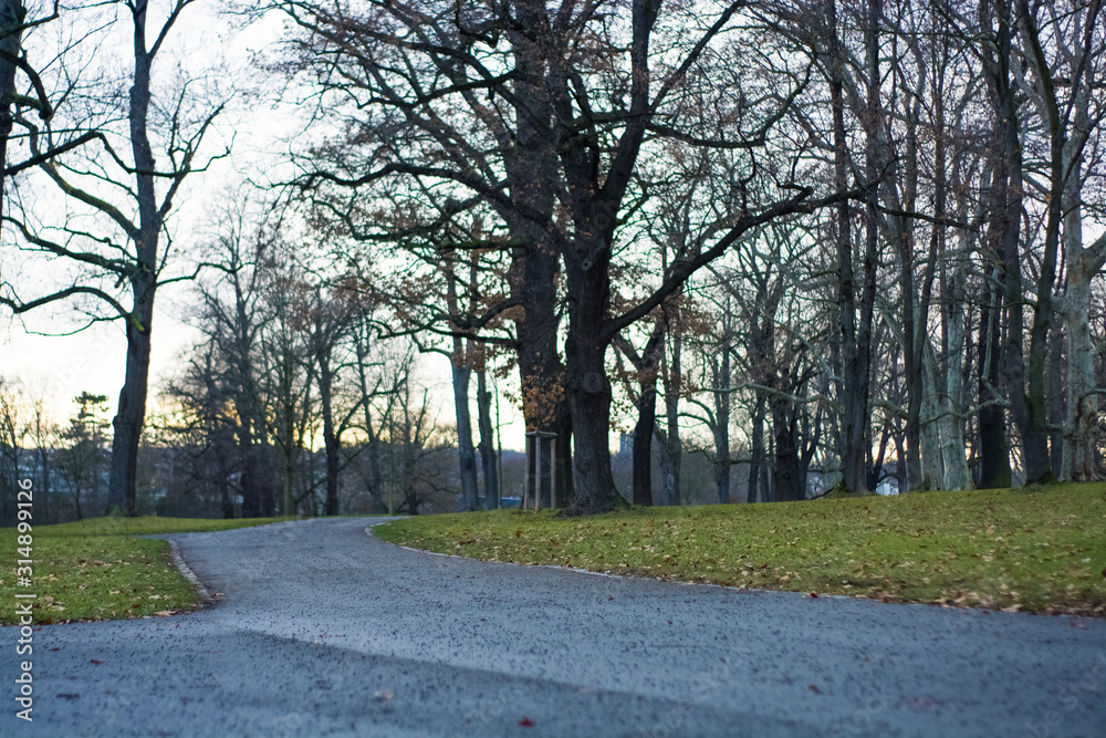 Green spring park with paths and bike paths. Infrastructure. Place for rest and entertainment. Nature. Background.