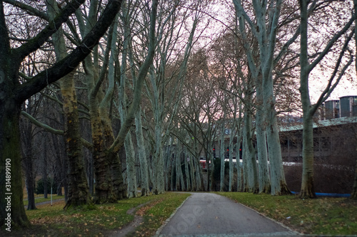 Green spring park with paths and bike paths. Infrastructure. Place for rest and entertainment. Nature. Background.