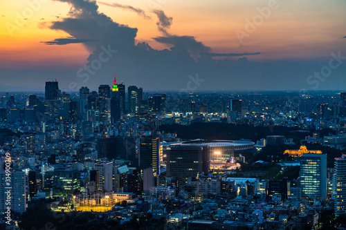 Tokyo skyline and skyscrapers at sunset viewed from Mori Tower observation deck, Japan