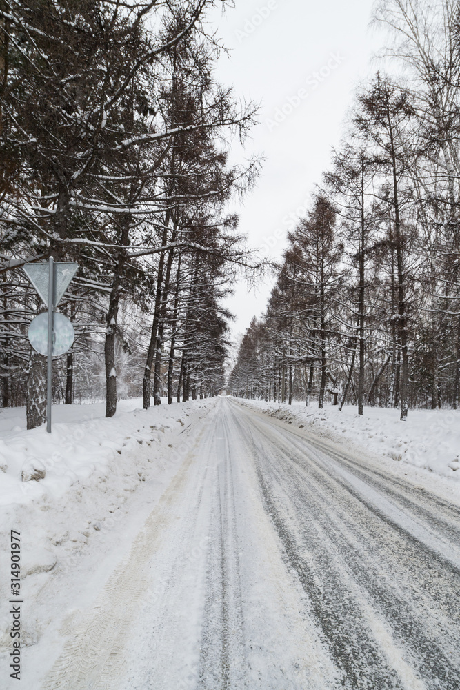Naklejka premium Winter road among the trees against the gray sky, vertical shot