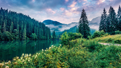 Dramatic morning scene of Lacu Rosu lake. Misty summer sunrise in Harghita County, Romania, Europe. Beauty of nature concept background.