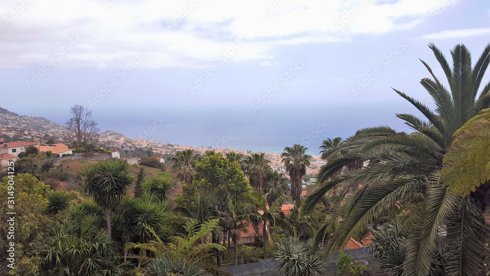 Madère, la baie de Funchal vue du Jardim tropical