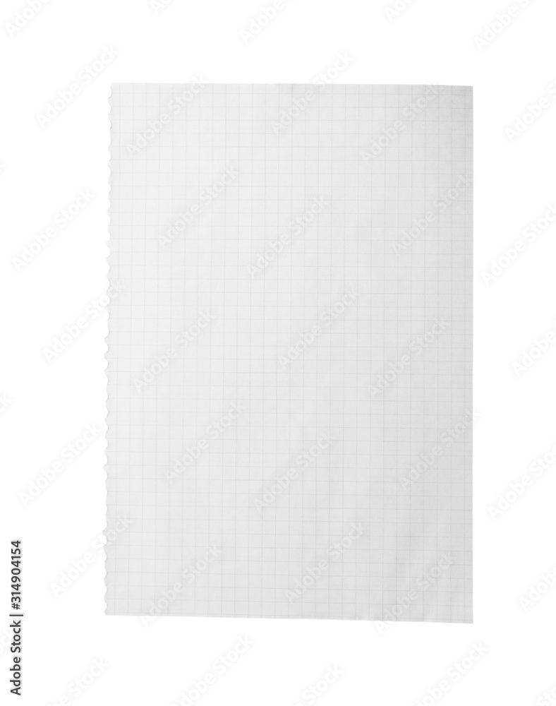 Blank notebook paper isolated on white. Space for design Blank notebook paper isolated on white. Space for design